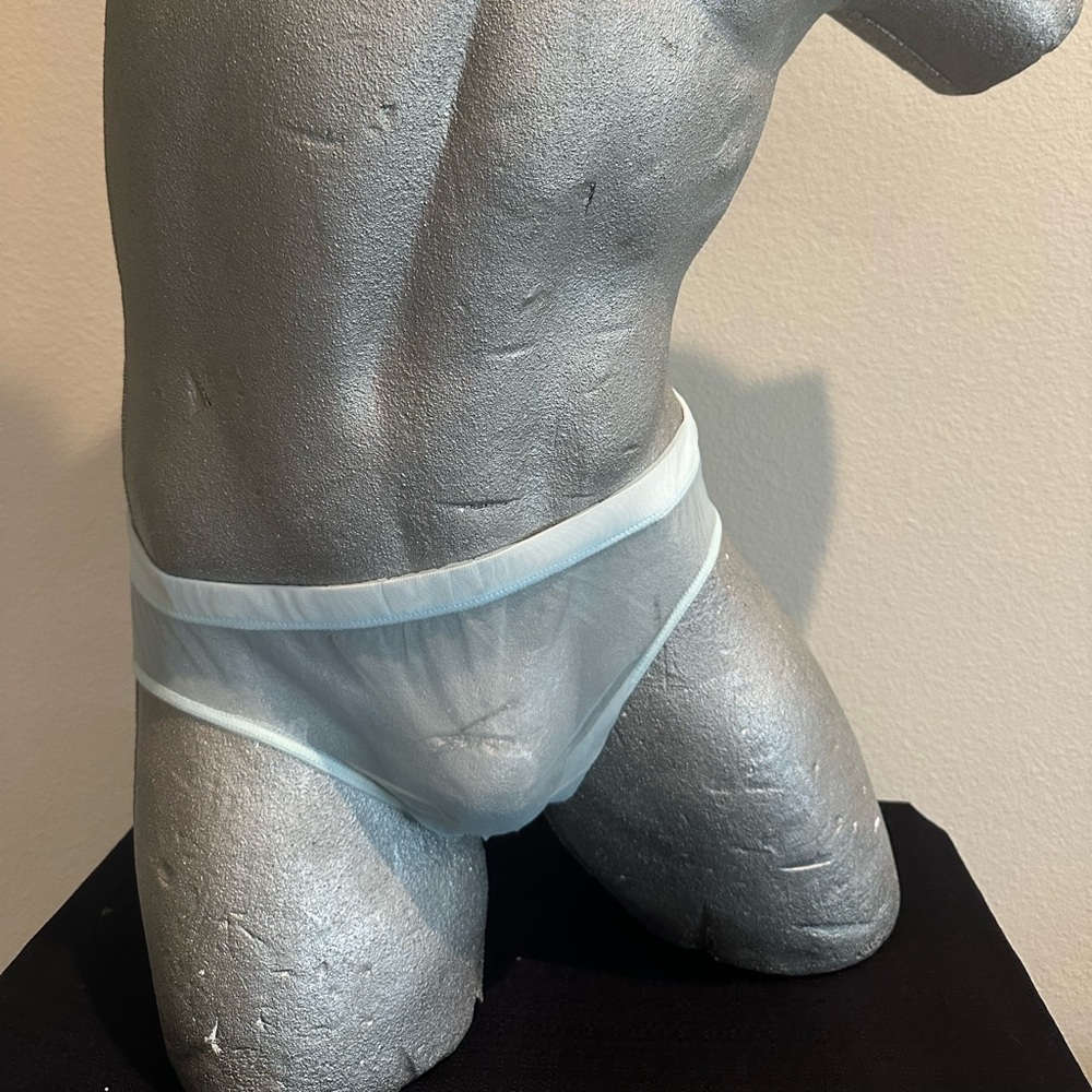 Sheer Brief  - Ice Blue  #45